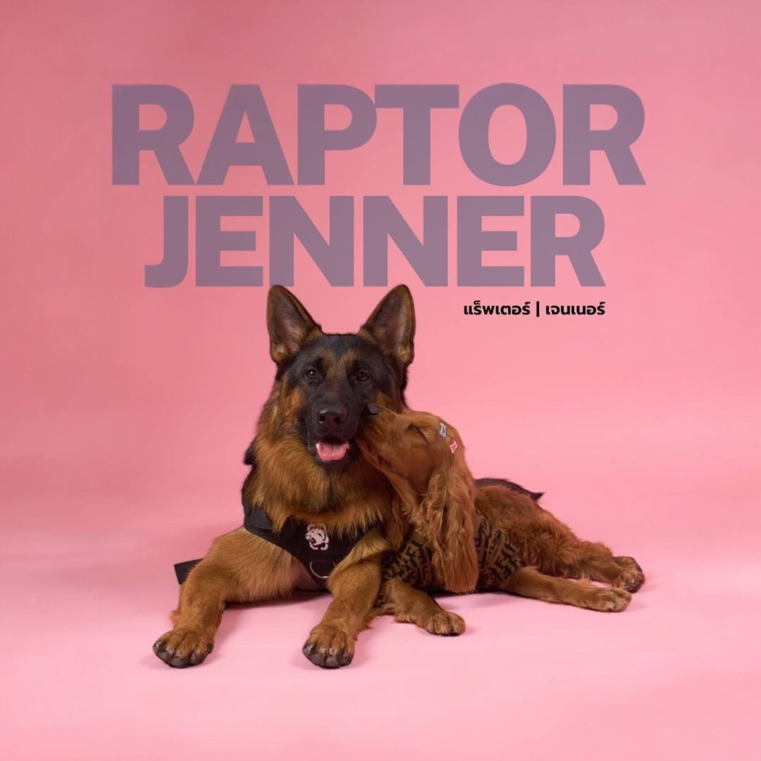 raptor.jenner