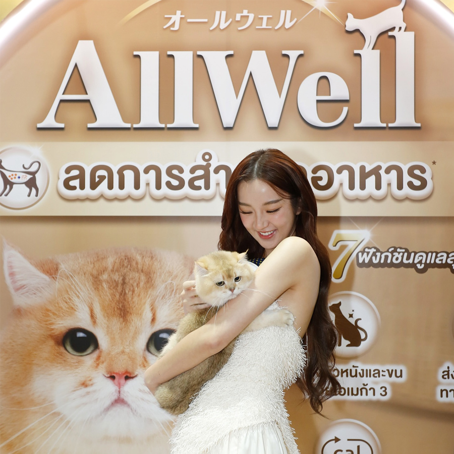 AllWell Thanaerng & KOL<br><span class='brand-detail'>by Unicharm (Thailand)</span>